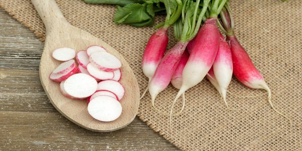 RADISH (मूली)