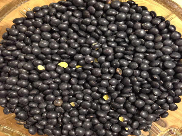उड़द की दाल ( Black lentils )