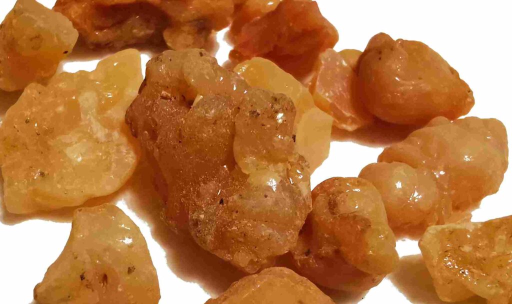 Asafoetida ( हिंग )