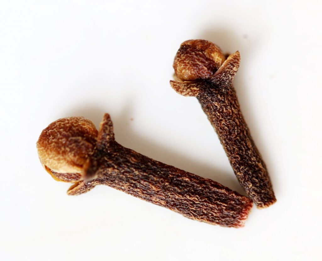 Clove ( लौंग )