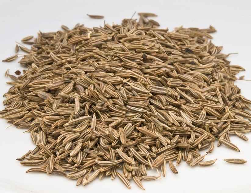 Cumin seeds ( जीरा )