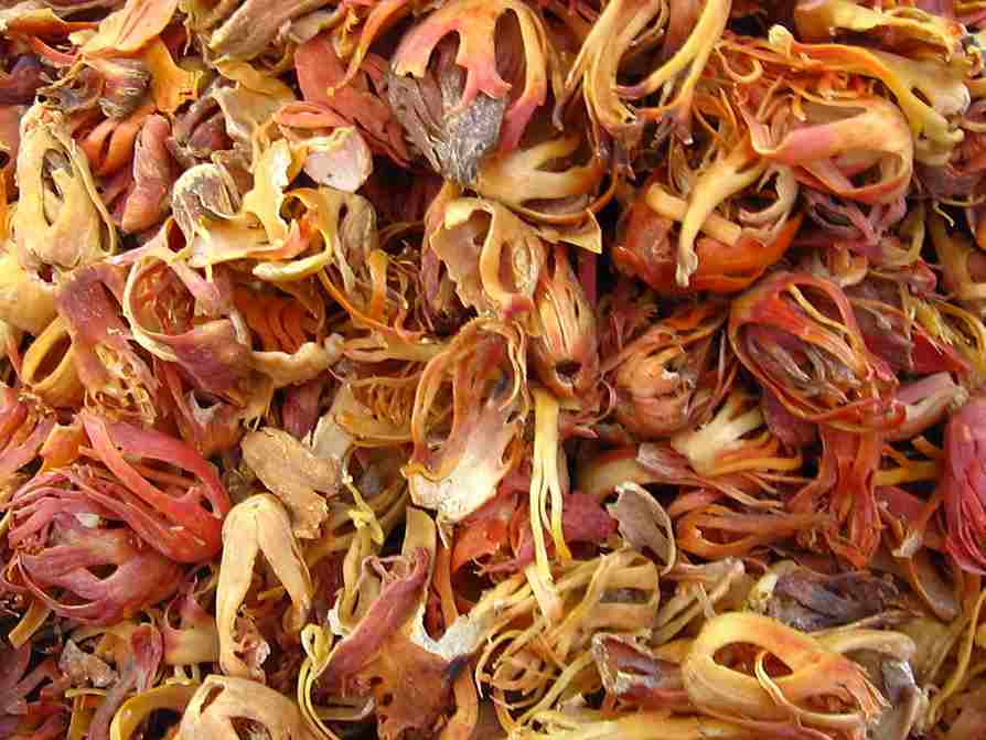 Mace ( जावित्री )