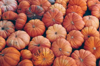 कद्दू PUMPKIN