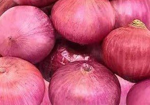 प्याज (ONION)