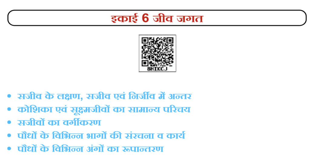 UP Board Solutions for Class-7 Science Chapter-6