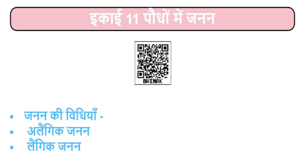 UP Board Solutions for Class-7 Science Chapter-11 पौधों में जनन